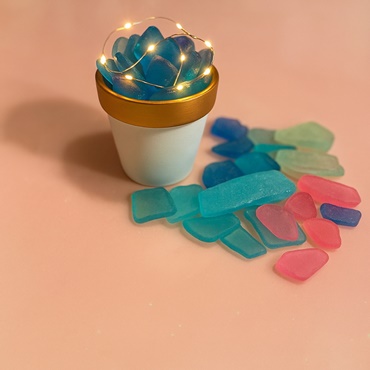 Sea Glass Mini Succulent