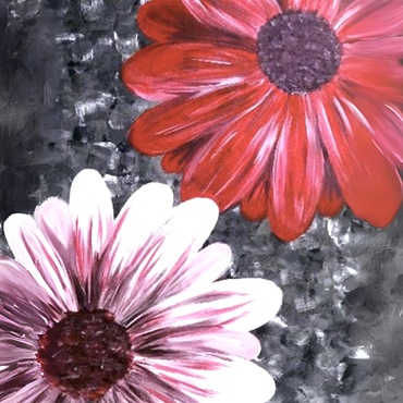 Red and Pink Daisies